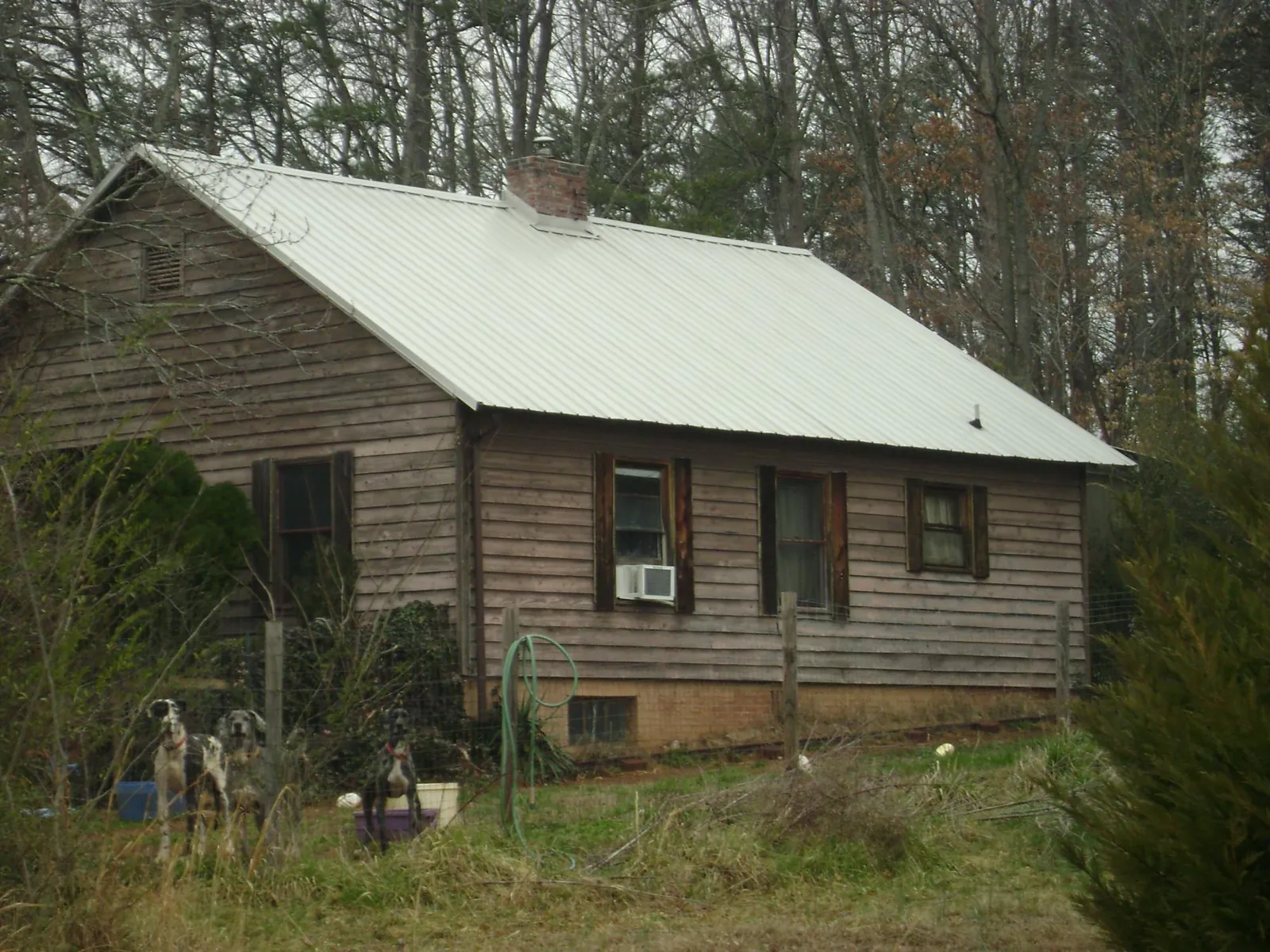 White metal roof on an old wood sided farmhouse, from a Asphalt Shingle Roof Repair job in Manchester Center